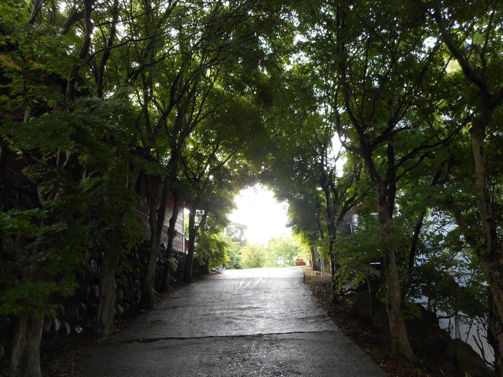 招待所 Atelier